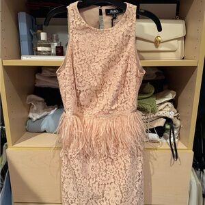 Blush Pink Lace Dress with Feathers